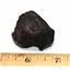 Chondrite MOROCCAN Stony METEORITE Genuine 43.6 grams w/ COA  #16557 5o