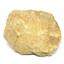 Brasilia Ammonite Fossil Jurassic 160 MYO Great Britain #16632 16o