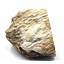 Petrified Wood from Washington USA Fossil #16701 101o