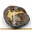 Septarian Nodule (Dragonstone) for Mineral & Fossil Collectors  #16705 198o