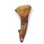 Onchopristis Sawfish Vertebra & Tooth Fossil 16853