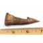 Onchopristis Sawfish Vertebra & Tooth Fossil 16856