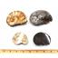 Ammonite, Nautilus & Goniatite Fossil Lot (6 pieces) #17045 37o