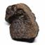 Chondrite Moroccan Stony Meteorite Genuine 243.0 grams 17114
