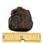 Chondrite MOROCCAN Stony METEORITE Genuine 28.0 grams w/ COA  #17120 4o