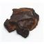 Chondrite Moroccan Stony Meteorite Genuine 56.6 grams 17136