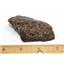 Chondrite Moroccan Stony Meteorite Genuine 91.7 grams -17144