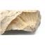 Perisphinctes Ammonite Fossil Jurassic 160 MYO Bavaria, West Germany #17161 29o