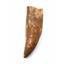 CARCHARODONTOSAURUS Dinosaur Tooth 3.379" Fossil African T-Rex MDB  #17318 13o
