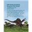 SPINOSAURUS Dinosaur Tooth Fossil 1.807 inch w/ Info Card #17419 3o