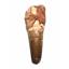 SPINOSAURUS Dinosaur Tooth Fossil 2.691 inch w/ Info Card #17420 3o