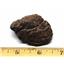 Chondrite MOROCCAN Stony METEORITE Genuine 72.4 grams w/ COA  #17445 6o