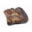 Chondrite MOROCCAN Stony METEORITE Genuine 66.7 grams w/ COA  #17446 6o