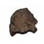 Chondrite MOROCCAN Stony METEORITE Genuine 43.1 grams w/ COA  #17457 6o