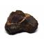 Chondrite Moroccan Stony Meteorite 44.5 grams 17463