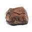 Chondrite MOROCCAN Stony METEORITE Genuine 68.0 grams w/ COA  #17486