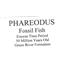 Phareodus Fossil Fish Green River Wyoming #17493 129o