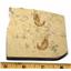 Carpopenaeus Genuine Fossil Shrimp Prawn 95 MYO 6o  #17519