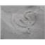Two Brittle Star Fossils Ophiura Pliocene Italy #17529