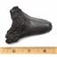 MEGALODON TOOTH Fossil SHARK 3.365 inches -Up to 25 Million Years Old #17532