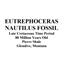 Eutrephoceras Nautilus Fossil Late Cretaceous Montana #17537