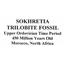 Sokhretia Trilobite Fossils Morocco 450 MYO #17588