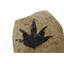 Two Piece Leaf Fossil from Bonanza, Utah #17613