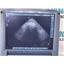 Sonosite P07099-05 Micromaxx Ultrasound Machine w/ P17/5-1 Probe NO POWER SUPPLY