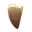 Mosasaur Dinosaur Tooth Fossil 1.704 inch 17229