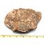 Chondrite Moroccan Stony Meteorite Genuine 765.4 grams 17227