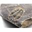 Lot of Unprepared Elrathia Kingi Trilobite Fossils #17928