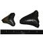 Megalodon Teeth Lot of 4 Fossils w/ 4 Info Cards Huge Shark E178 #17955