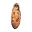 Pine Cone Fossil w/ Display Box LDB 50 Million Yrs Old COA E33 #17960
