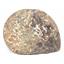 Goniatite Ammonite Fossil Devonian 390 MYO Morocco #17014 87o