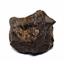 Chondrite MOROCCAN Stony METEORITE Genuine 147.4 grams w/ COA  #17126 10o