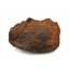 Nantan Iron Nickel Meteorite -Genuine-44.4 gram + card & COA #18028