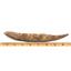 HYBODUS Shark Dorsal Fin Spine Real Fossil 8 inch 18076