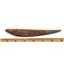 HYBODUS Shark Dorsal Fin Spine Real Fossil 6 inch 18078