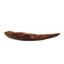 HYBODUS Shark Dorsal Fin Spine Real Fossil 5 inch 18082