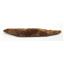 HYBODUS Shark Dorsal Fin Spine Real Fossil 6 inch 18083