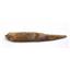 HYBODUS Shark Dorsal Fin Spine Real Fossil 5 1/2 inch 18089