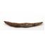 HYBODUS Shark Dorsal Fin Spine Real Fossil 7 inch 18091