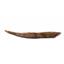 HYBODUS Shark Dorsal Fin Spine Real Fossil 6 1/2 inch 18093