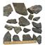 Lot of Unprepared Elrathia Kingi Trilobite Fossils #18107