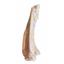 Unprepared Oreodont Leg and Foot Fossil 30 Mil Yrs Old #18109