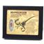 Dromeosaur Raptor Dinosaur Tooth Fossil .512 inch 18152