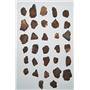 Moroccan Stony Meteorite Chondrite 290 gram Lot (9.7 ounces) #2594