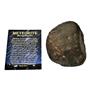 MOROCCAN Stony METEORITE Chondrite Genuine 708.0 grams w/color card #14666 28o