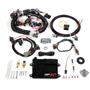 Holley HP EFI ECU & Harness Kits 550-604