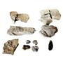 CRINOIDS Lot of Unprepared Fossils - Crawfordfordsville, Indiana #15074 66o